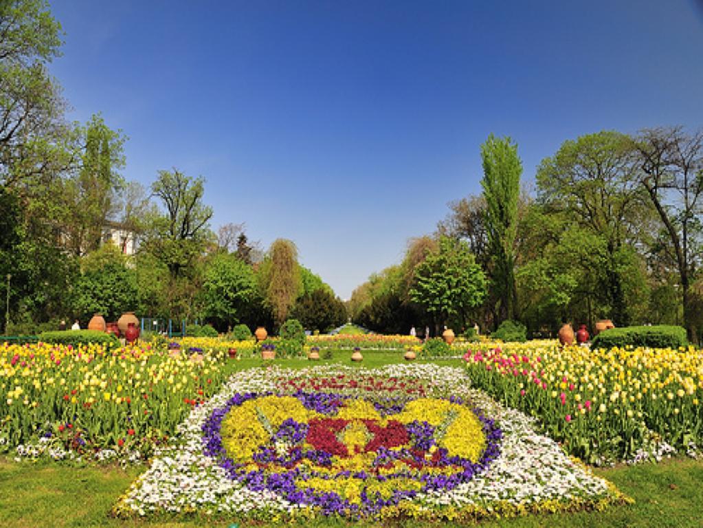 Studio Cismigiu Park Bucureşti Exterior foto